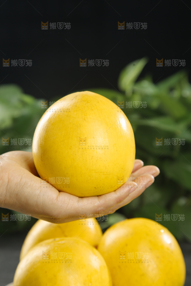黄晶果