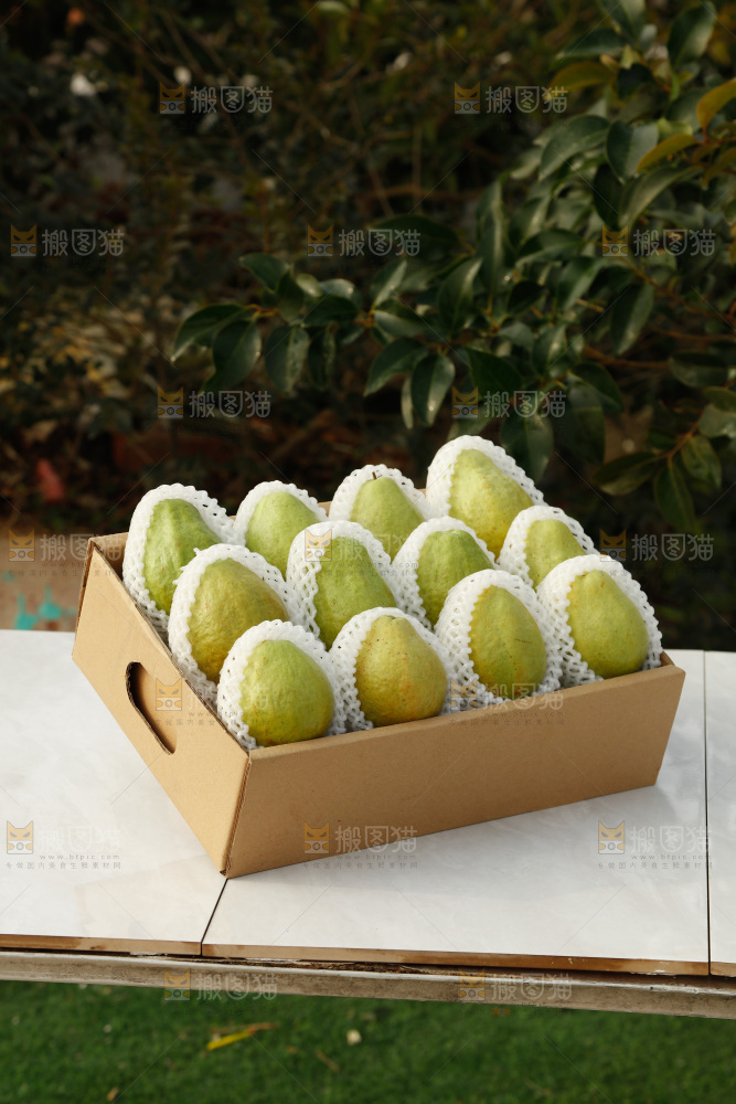 白心芭乐
