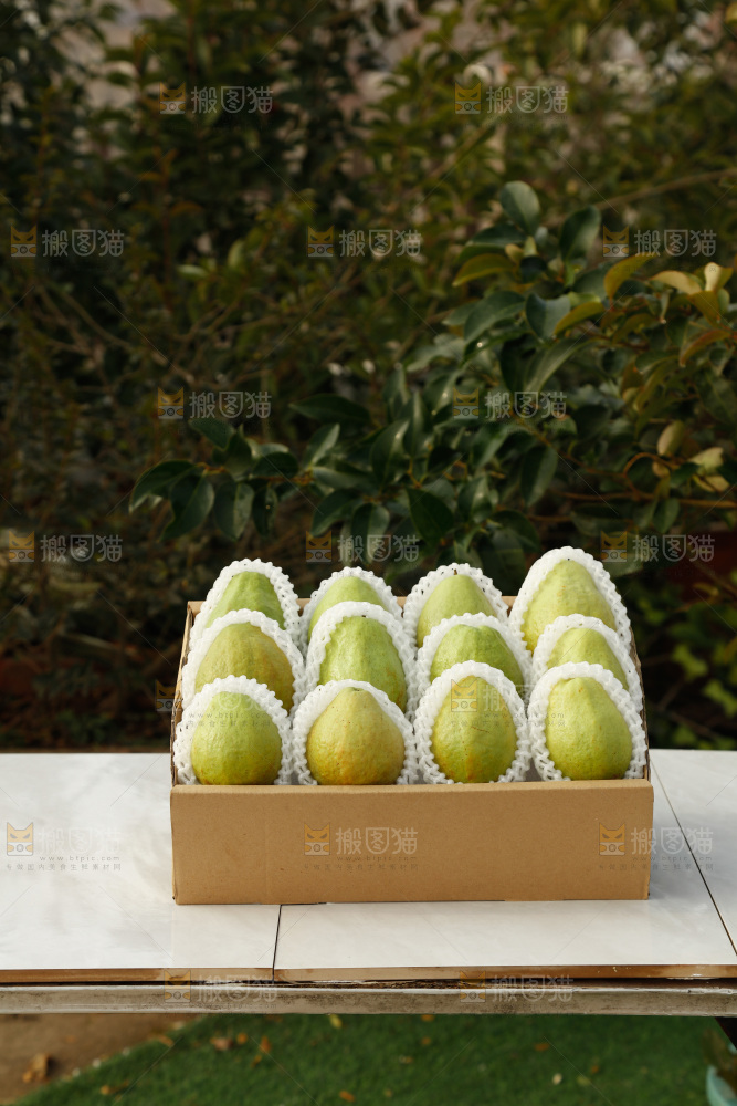 白心芭乐