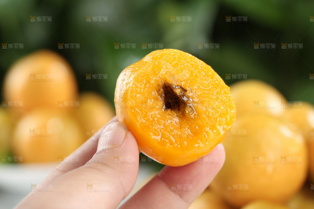 李广杏