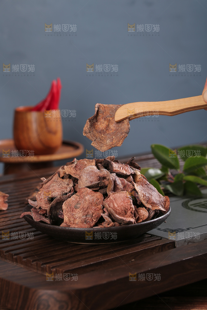 红乳牛肝菌