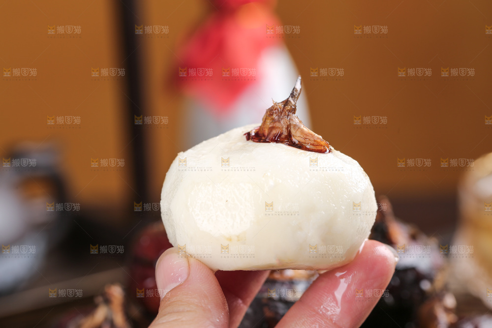 马蹄
