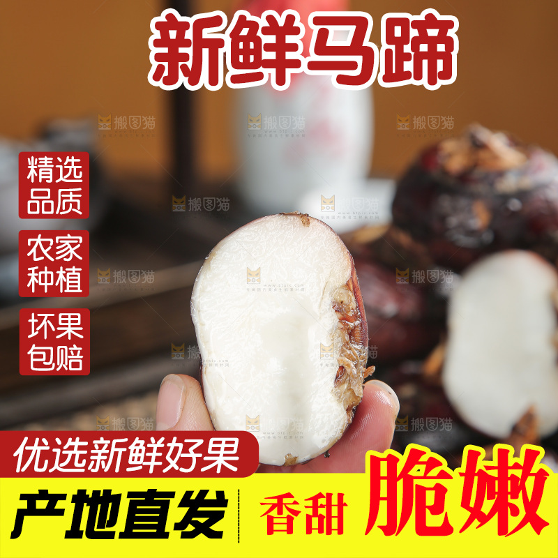 马蹄