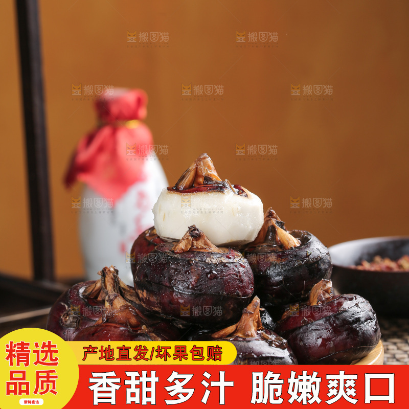 马蹄