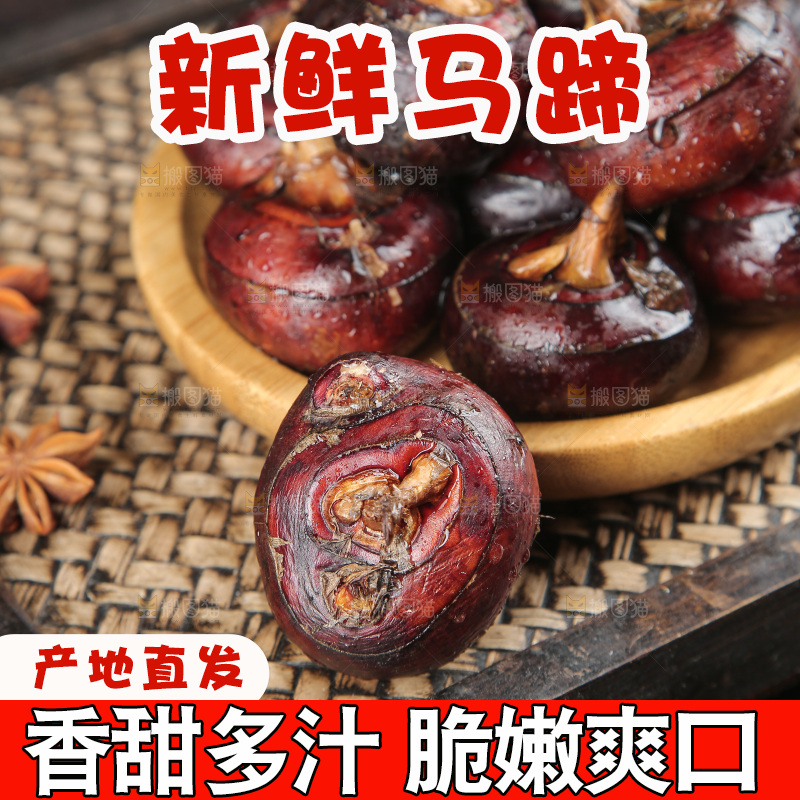 马蹄