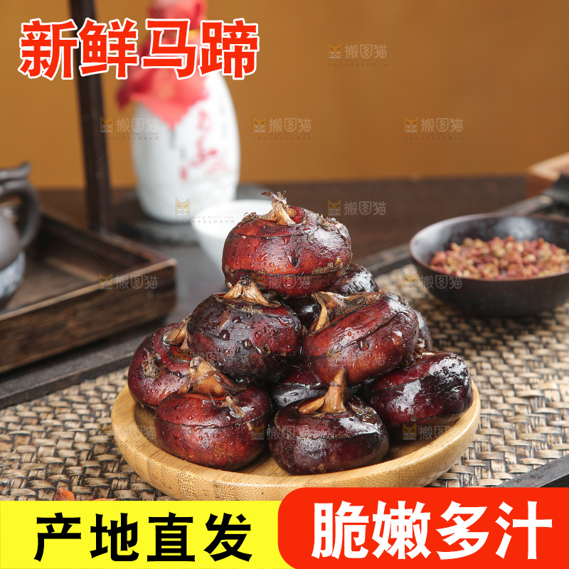 马蹄