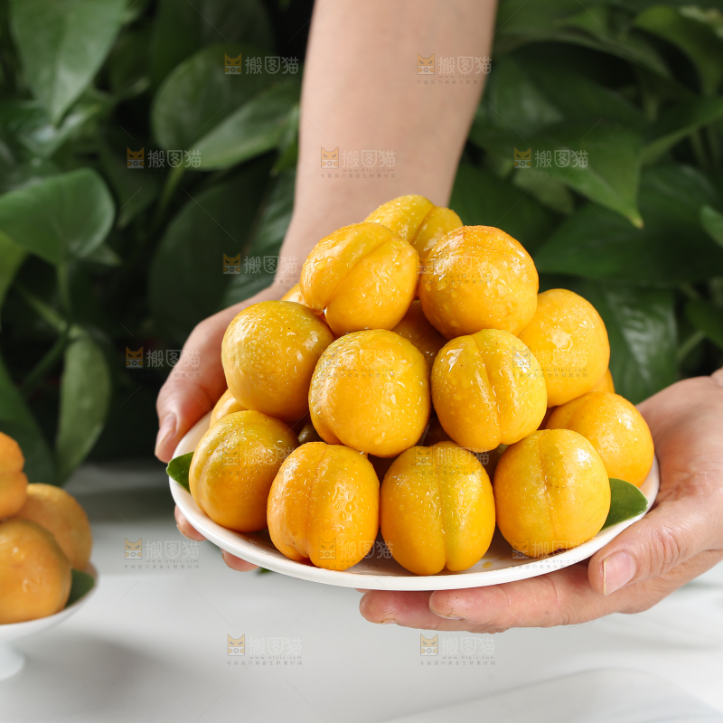 李广杏