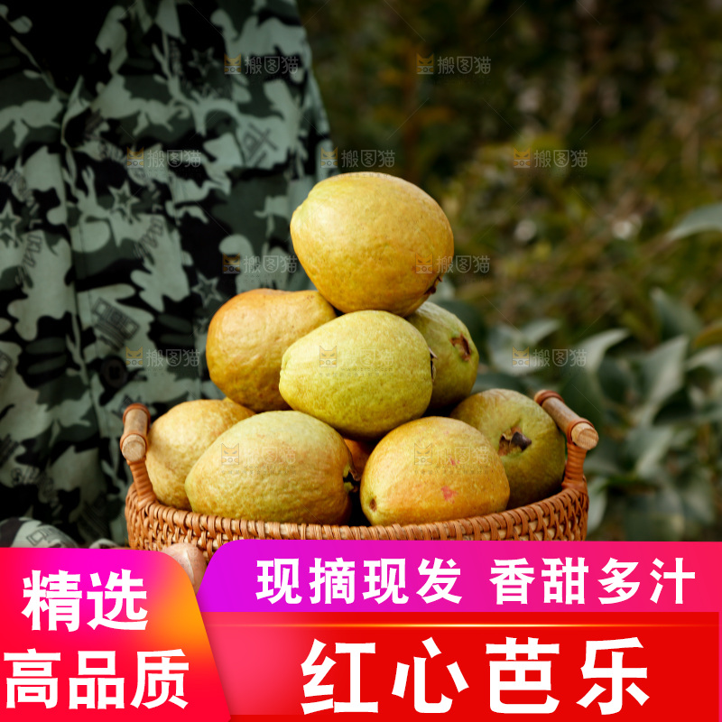 红心芭乐