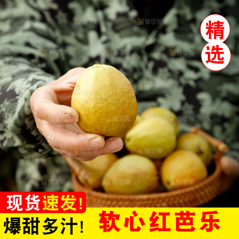 红心芭乐