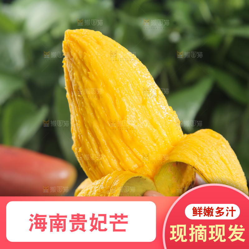 贵妃芒