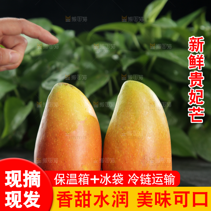 贵妃芒