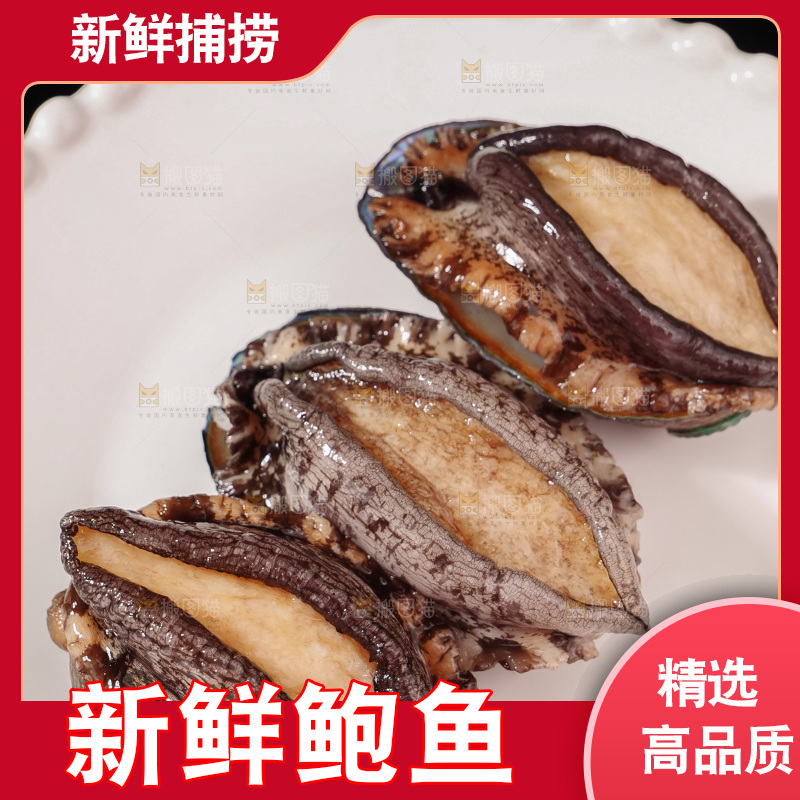 鲍鱼