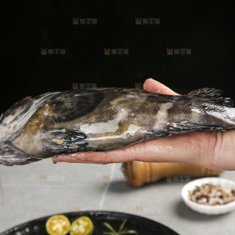 石斑鱼