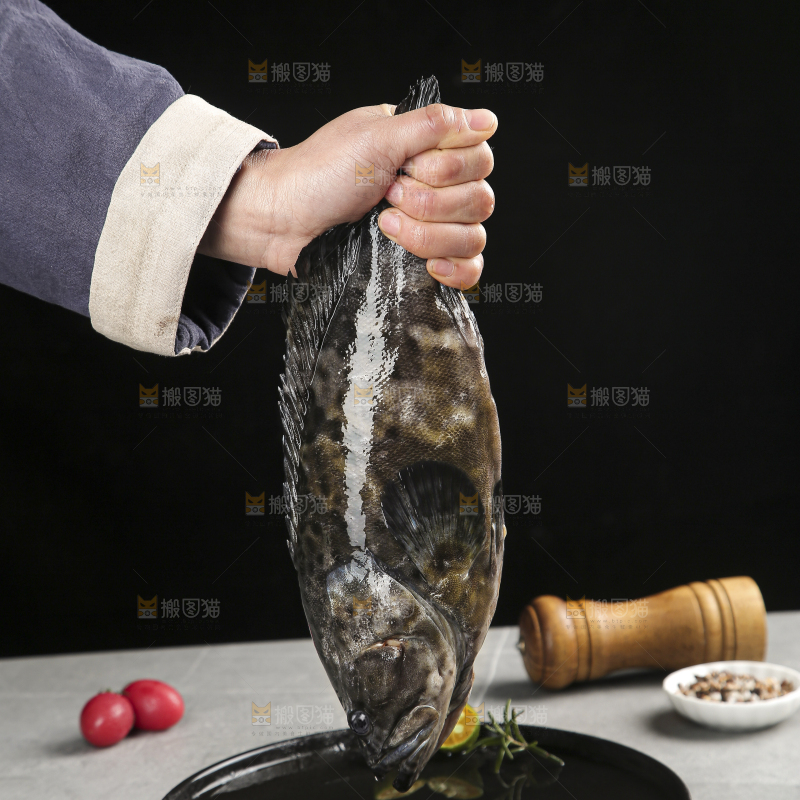 石斑鱼