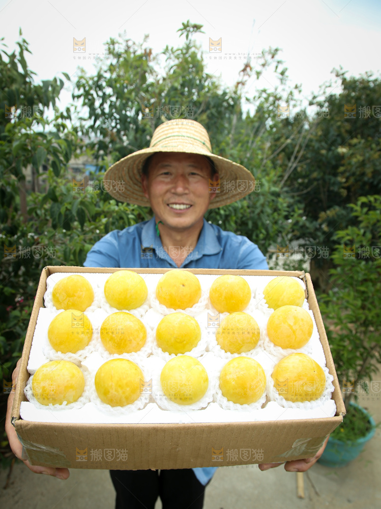 桃花李