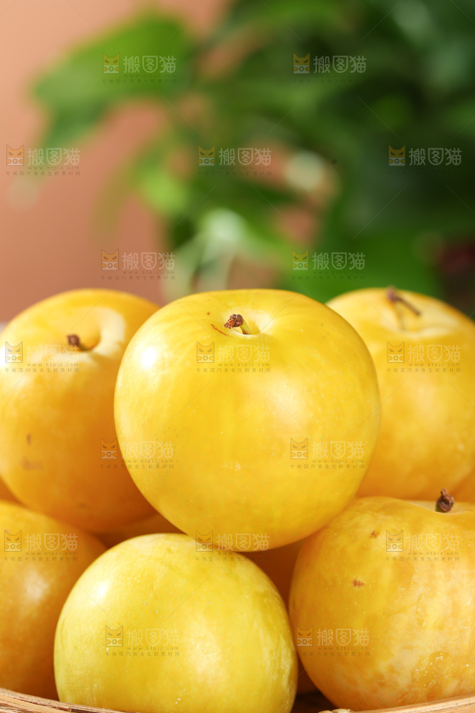 桃花李