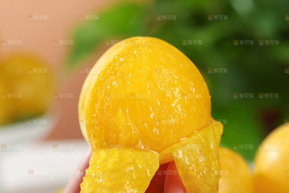 桃花李