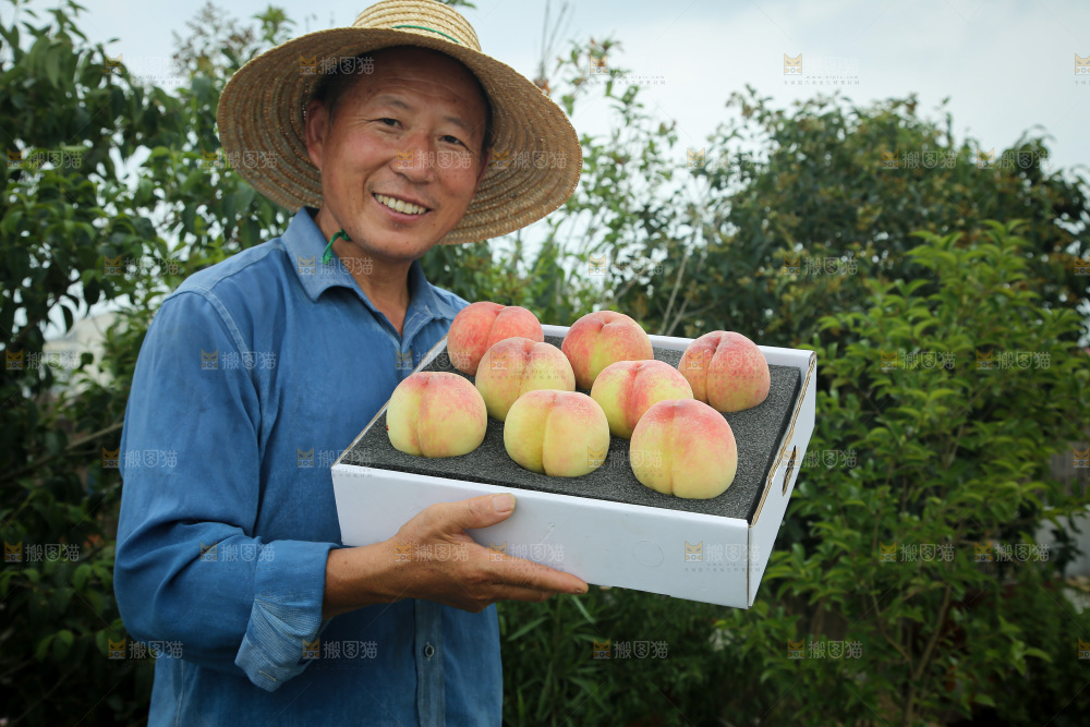 阳山水蜜桃