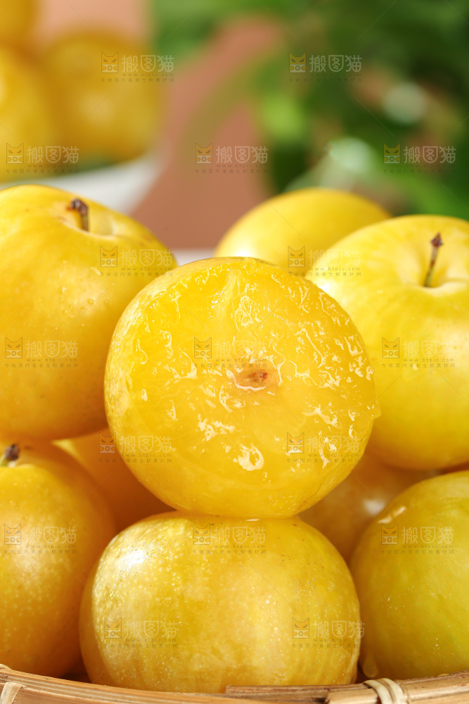 桃花李