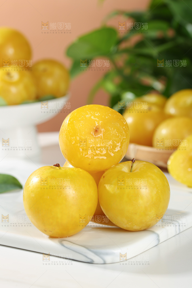 桃花李