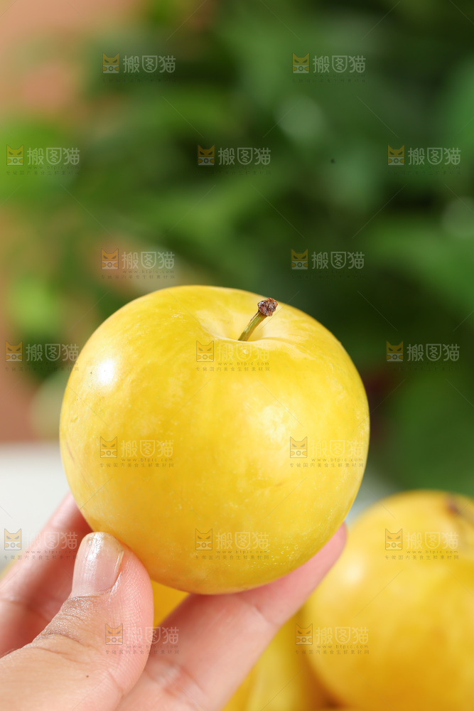 桃花李