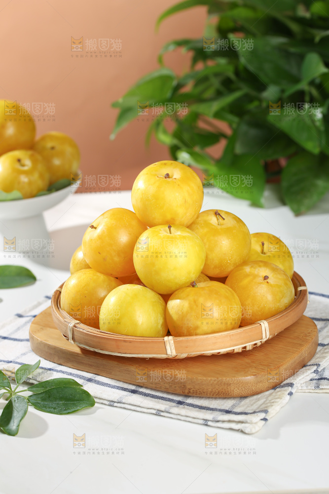 桃花李