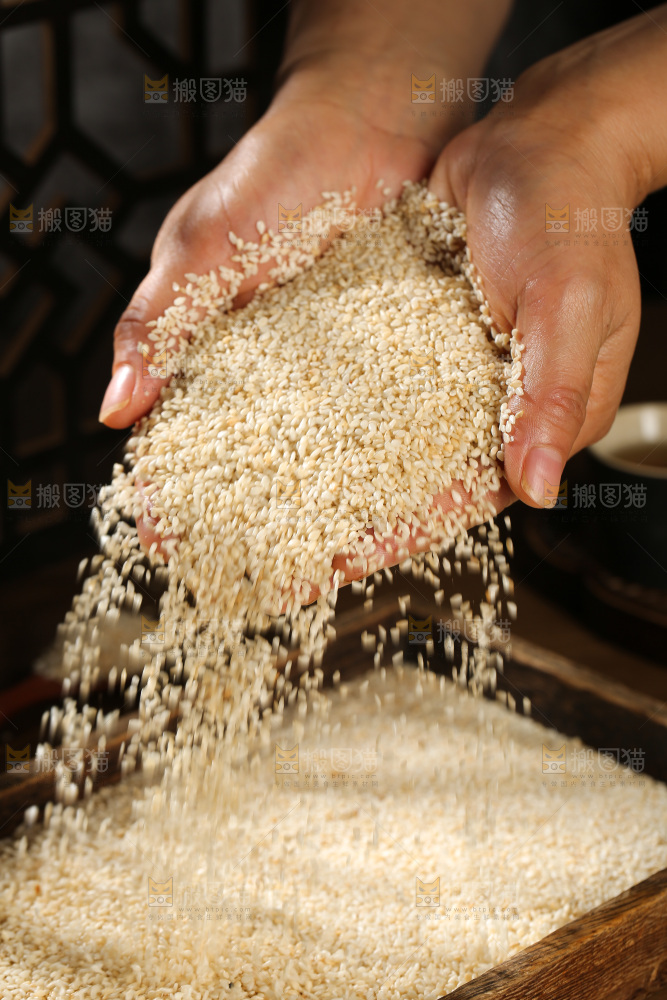 白芝麻
