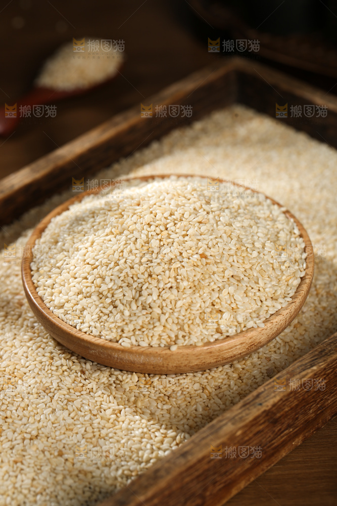 白芝麻