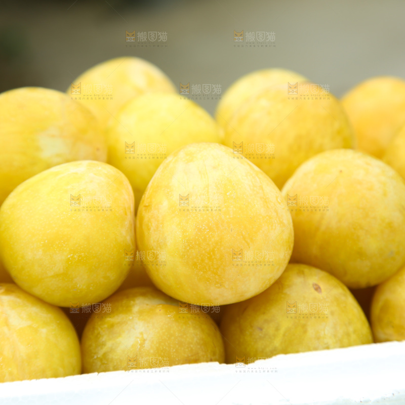 桃花李