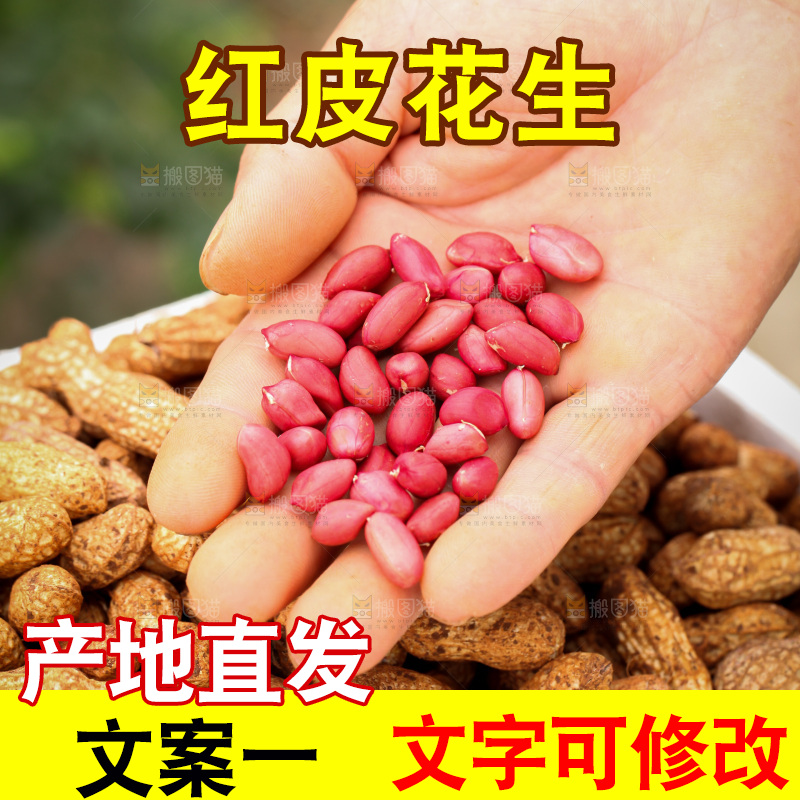 红皮花生