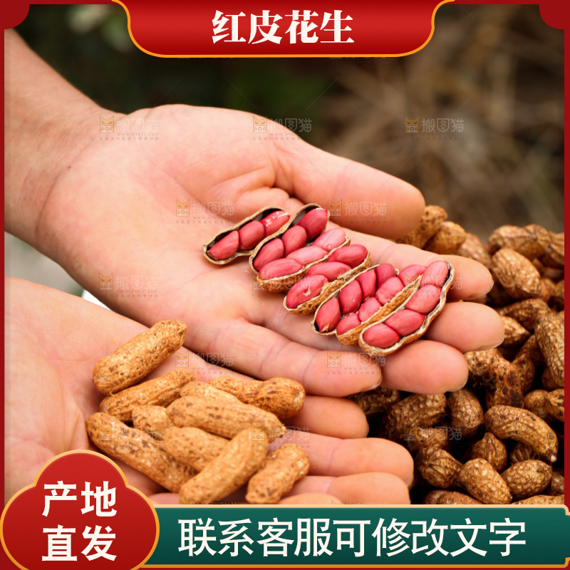 红皮花生