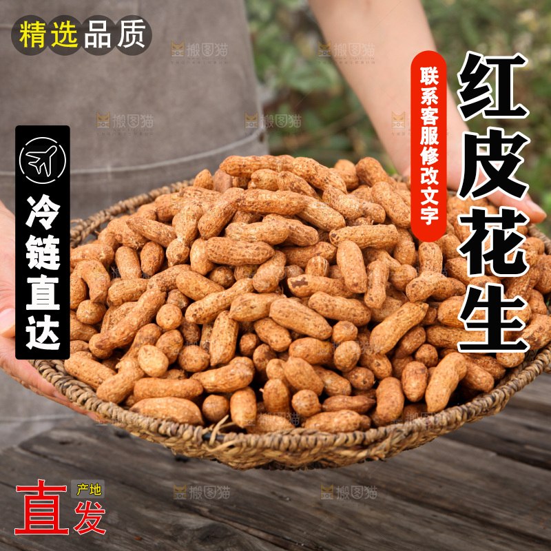 红皮花生