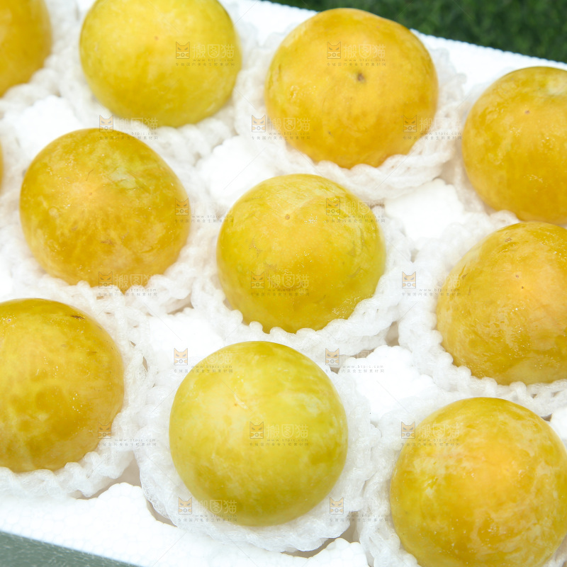 桃花李