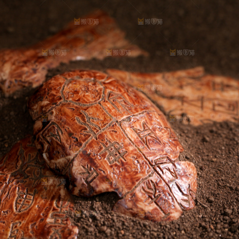 甲骨文