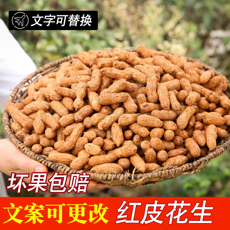 红皮花生