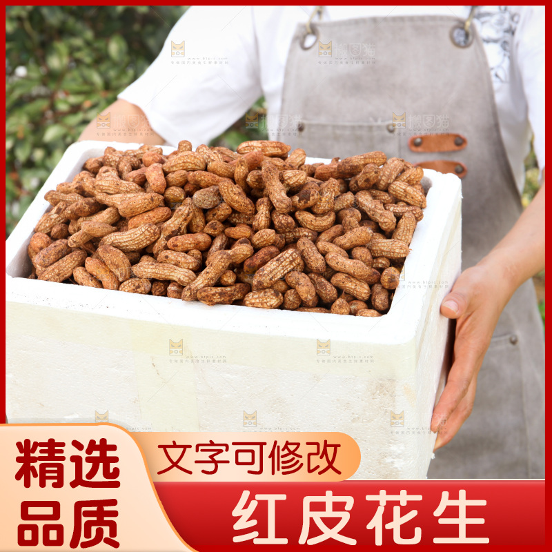 红皮花生