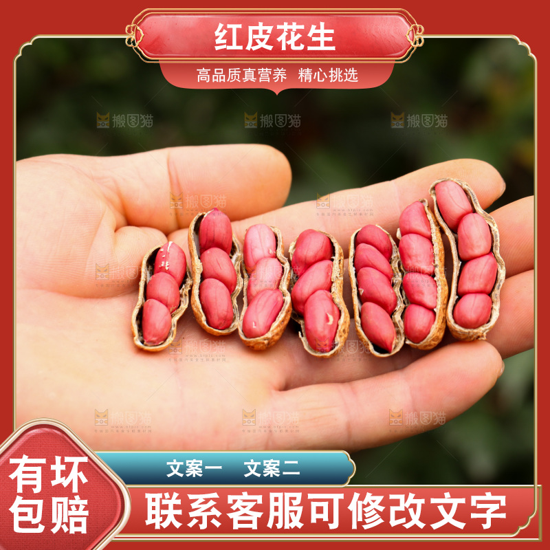 红皮花生