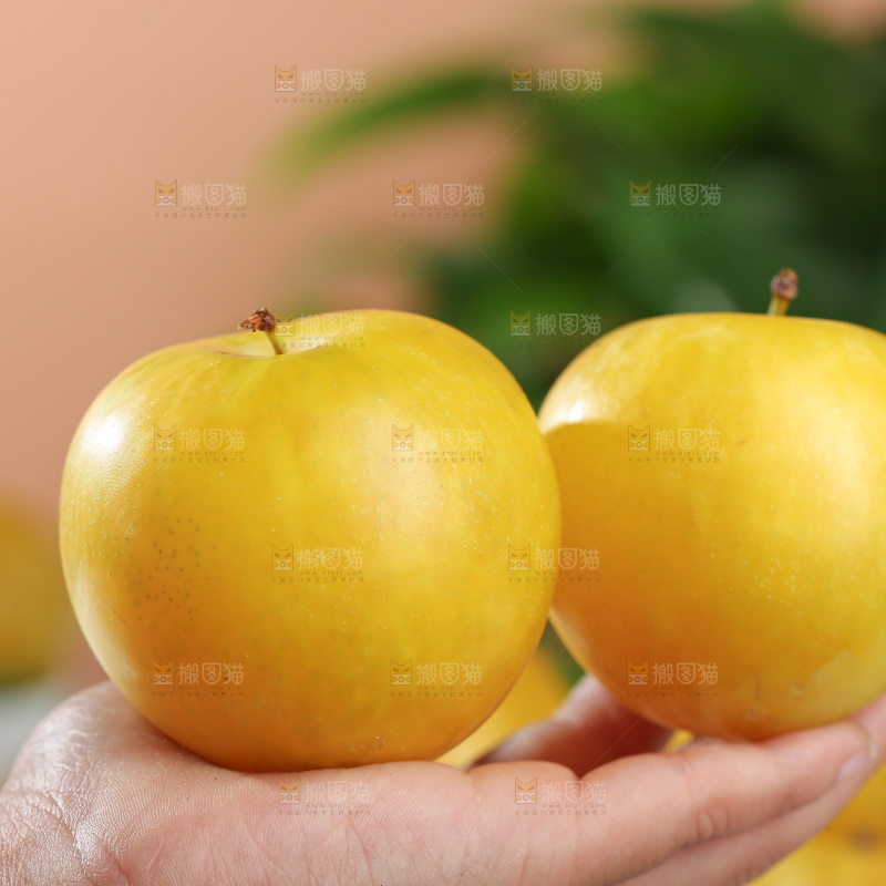 桃花李