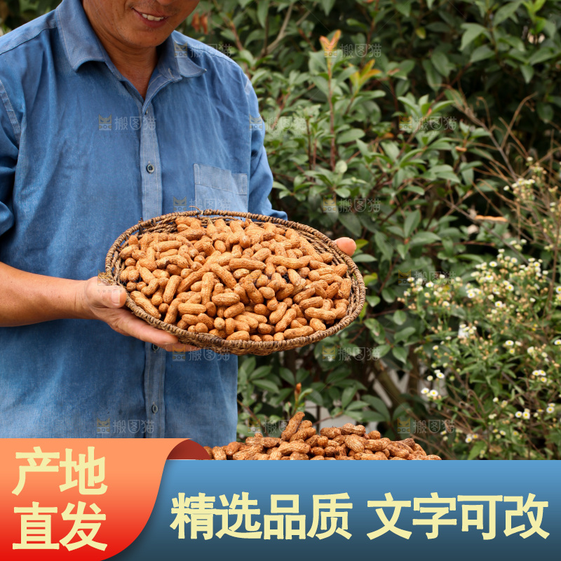红皮花生