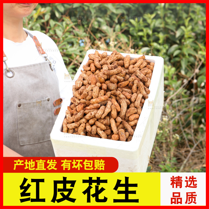红皮花生