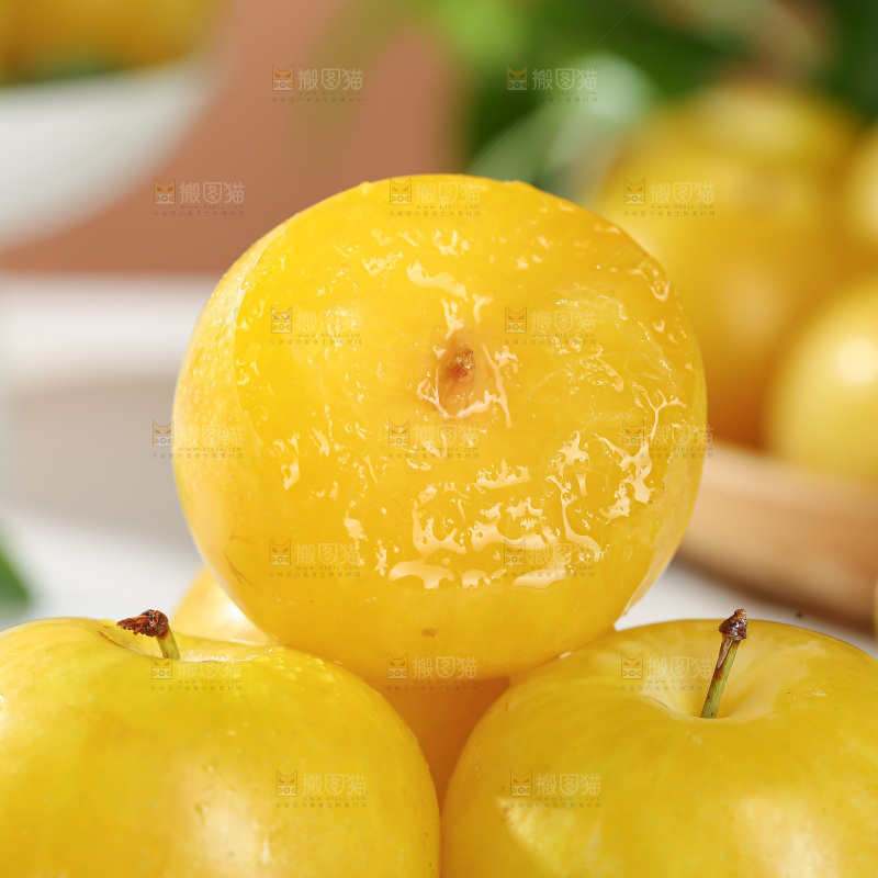 桃花李