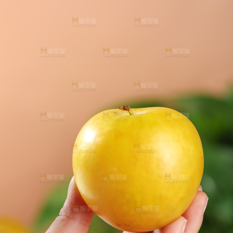 桃花李