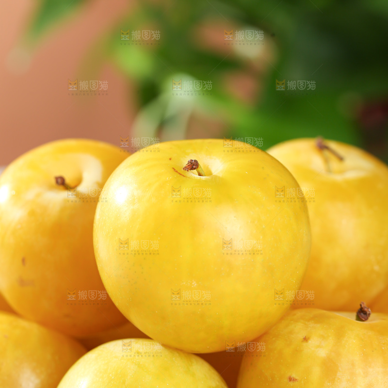 桃花李