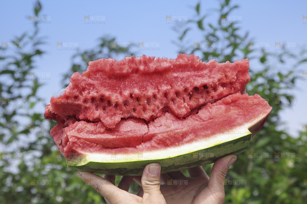 石头瓜