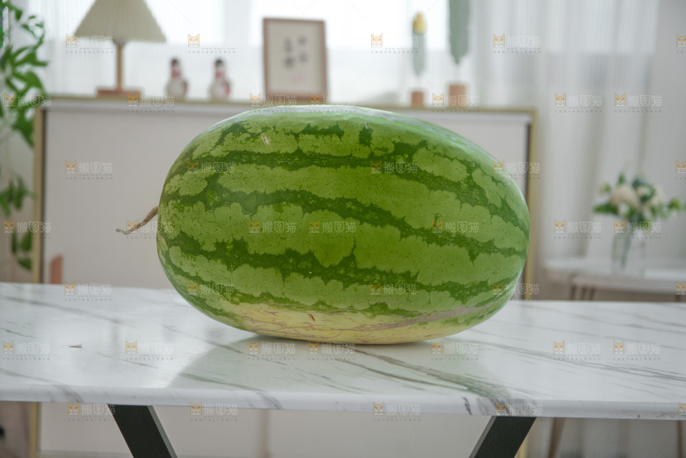 石头瓜