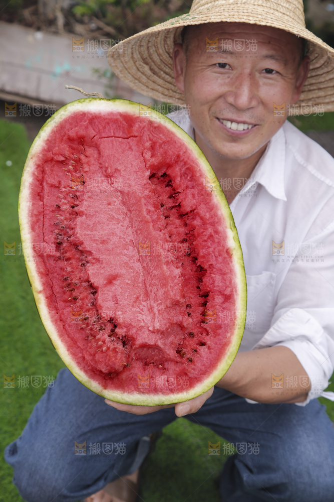 石头瓜