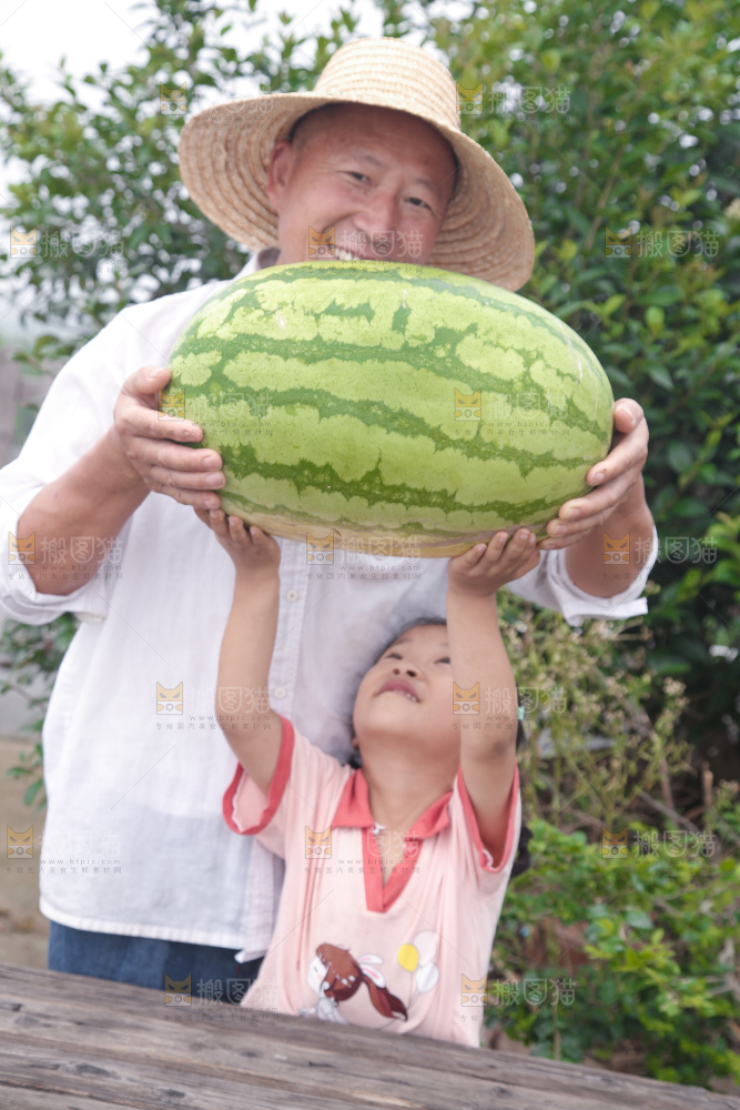 石头瓜