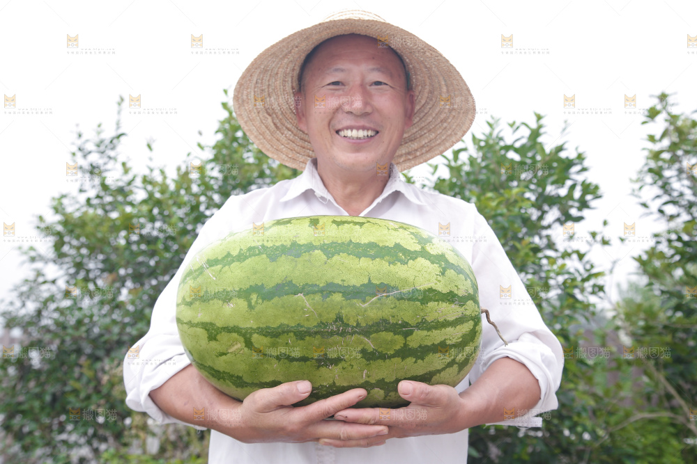 石头瓜