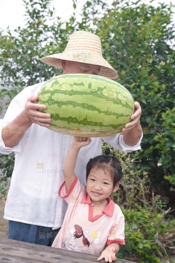 石头瓜
