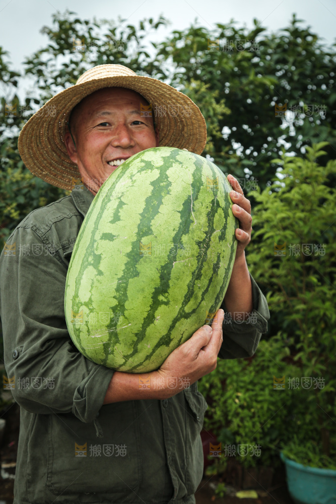 石头瓜